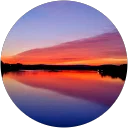 Elizabeth Lipp profile picture